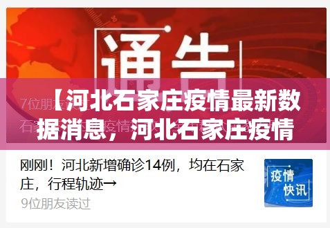 【河北石家庄疫情最新数据消息，河北石家庄疫情最新报道】