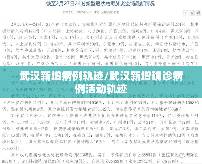 武汉新增病例轨迹/武汉新增确诊病例活动轨迹
