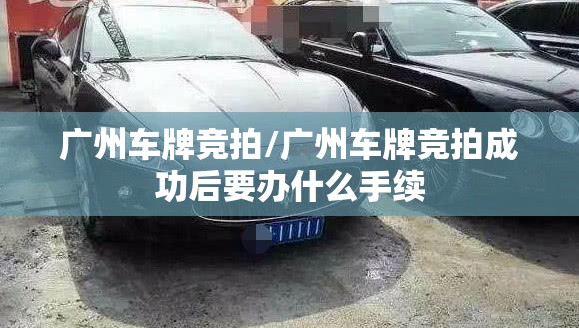 广州车牌竞拍/广州车牌竞拍成功后要办什么手续