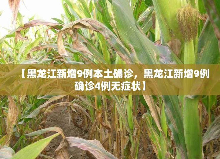 【黑龙江新增9例本土确诊，黑龙江新增9例确诊4例无症状】
