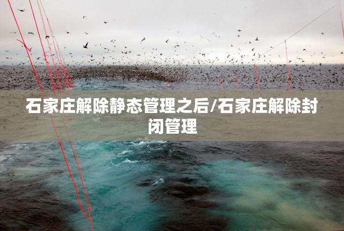 石家庄解除静态管理之后/石家庄解除封闭管理
