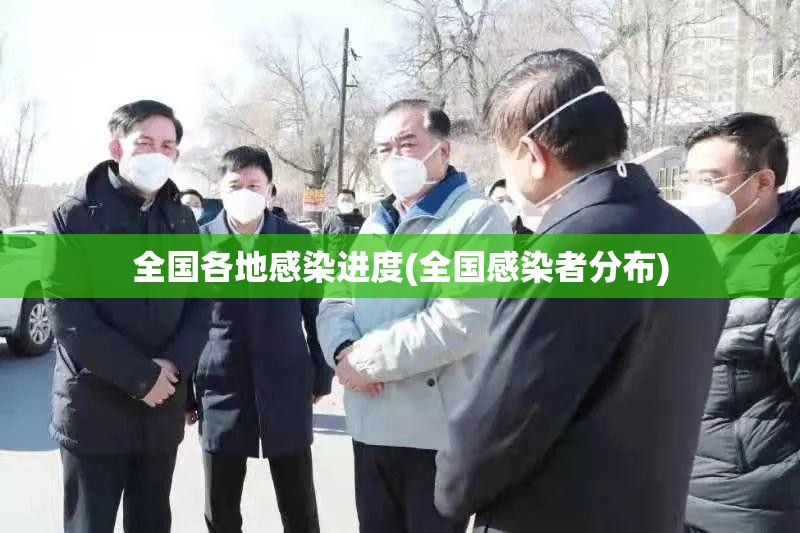 全国各地感染进度(全国感染者分布)
