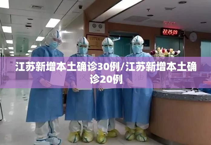江苏新增本土确诊30例/江苏新增本土确诊20例
