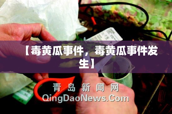 【毒黄瓜事件，毒黄瓜事件发生】