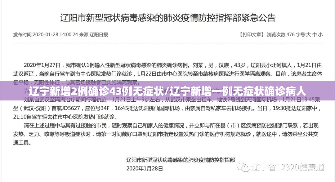 辽宁新增2例确诊43例无症状/辽宁新增一例无症状确诊病人