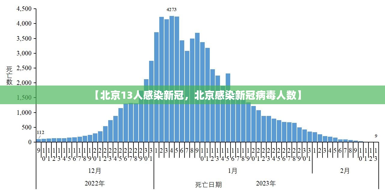 【北京13人感染新冠，北京感染新冠病毒人数】