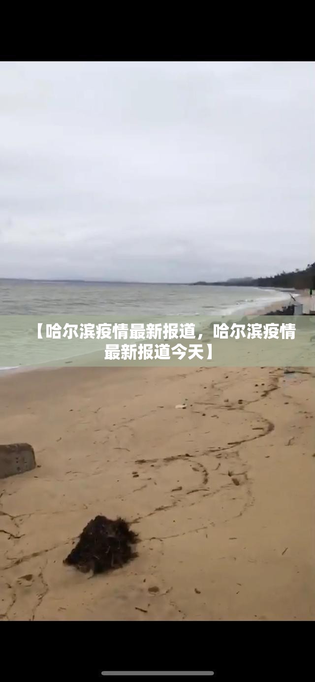 【哈尔滨疫情最新报道，哈尔滨疫情最新报道今天】