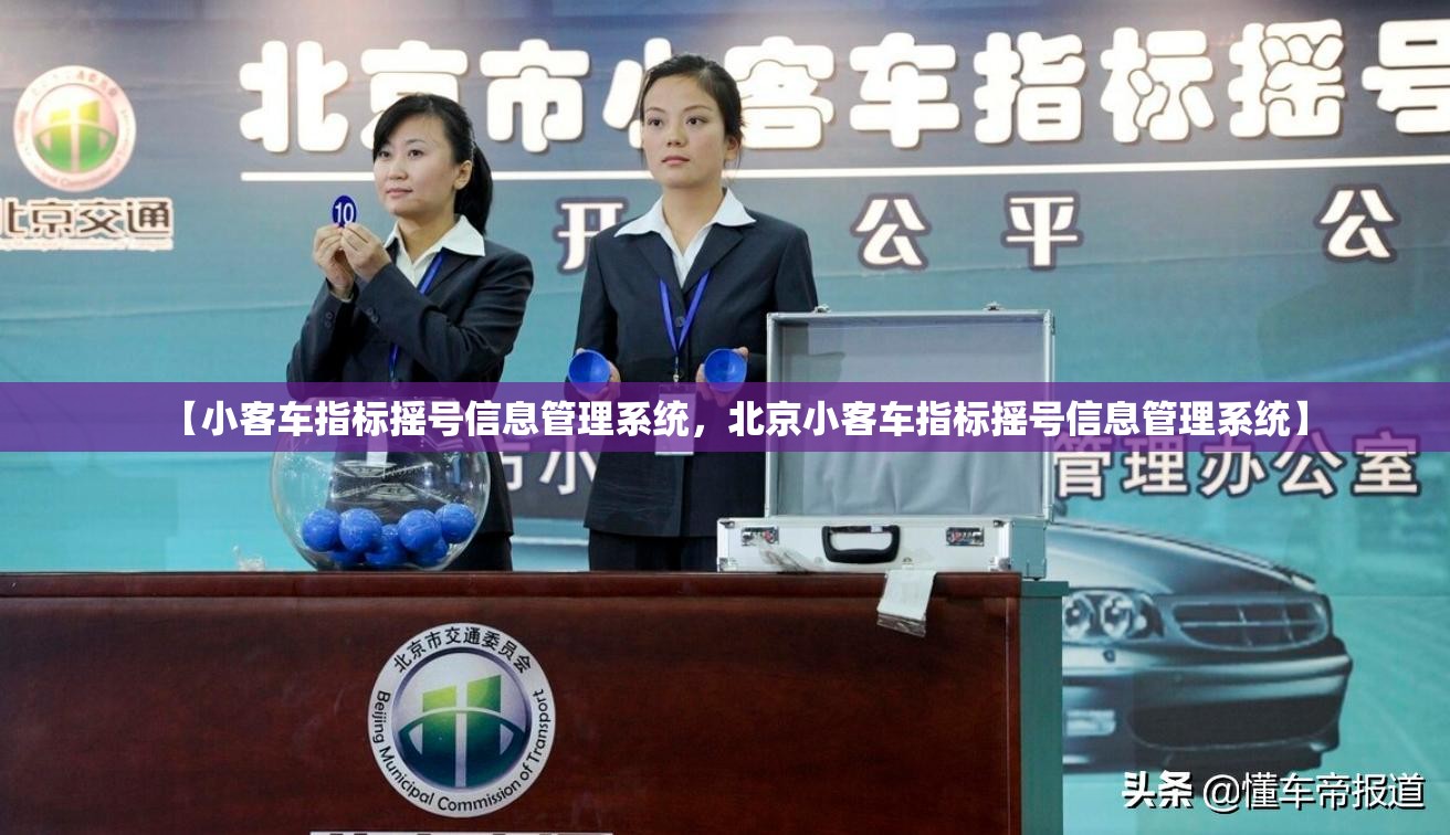 【小客车指标摇号信息管理系统，北京小客车指标摇号信息管理系统】