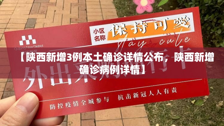 【陕西新增3例本土确诊详情公布，陕西新增确诊病例详情】