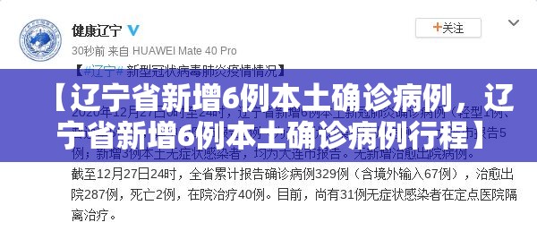 【辽宁省新增6例本土确诊病例，辽宁省新增6例本土确诊病例行程】