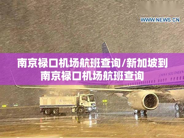南京禄口机场航班查询/新加坡到南京禄口机场航班查询