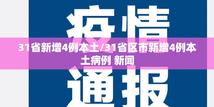 31省新增4例本土/31省区市新增4例本土病例 新闻