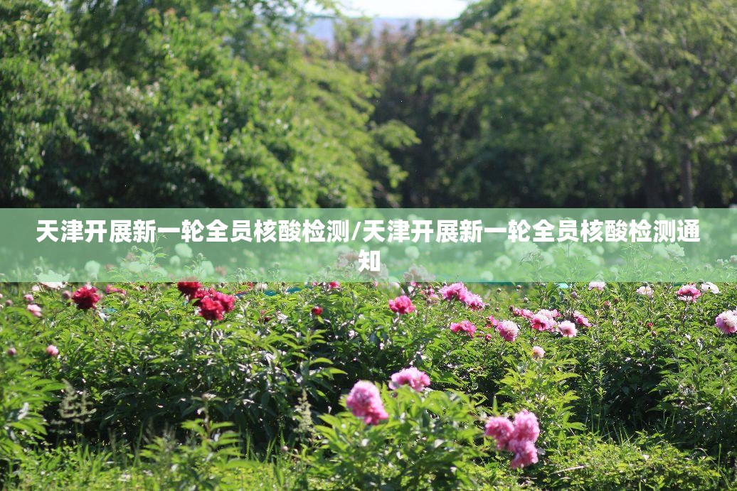 天津开展新一轮全员核酸检测/天津开展新一轮全员核酸检测通知