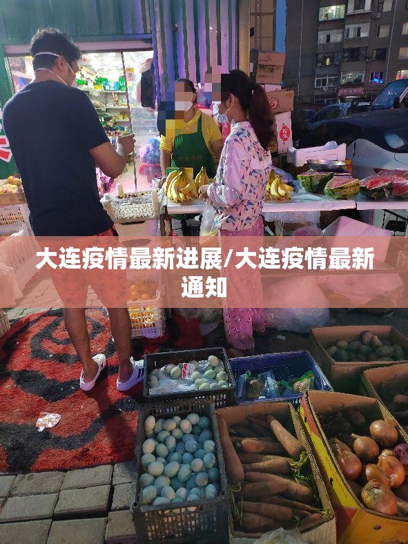 大连疫情最新进展/大连疫情最新通知
