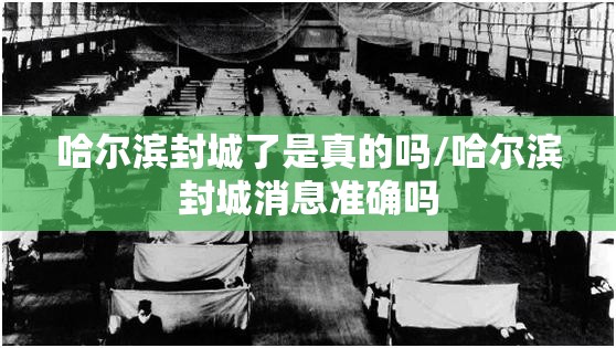 哈尔滨封城了是真的吗/哈尔滨封城消息准确吗