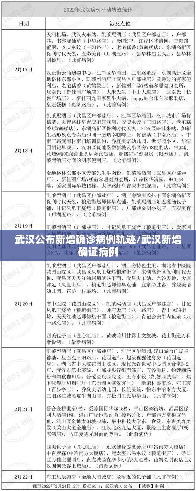 武汉公布新增确诊病例轨迹/武汉新增确证病例
