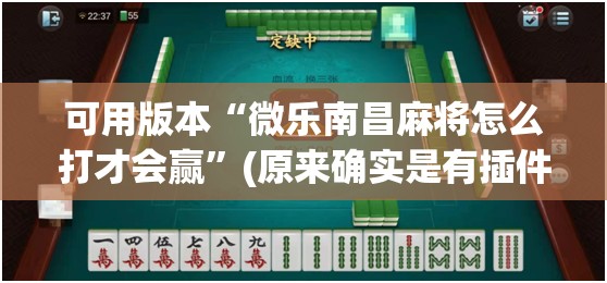 可用版本“微乐南昌麻将怎么打才会赢”(原来确实是有插件)