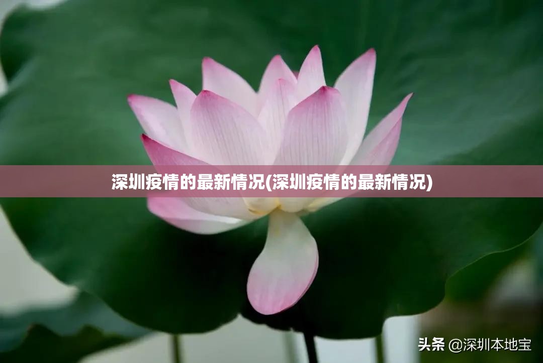 深圳疫情的最新情况(深圳疫情的最新情况)