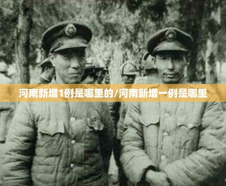 河南新增1例是哪里的/河南新增一例是哪里