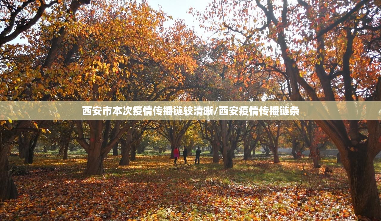 西安市本次疫情传播链较清晰/西安疫情传播链条