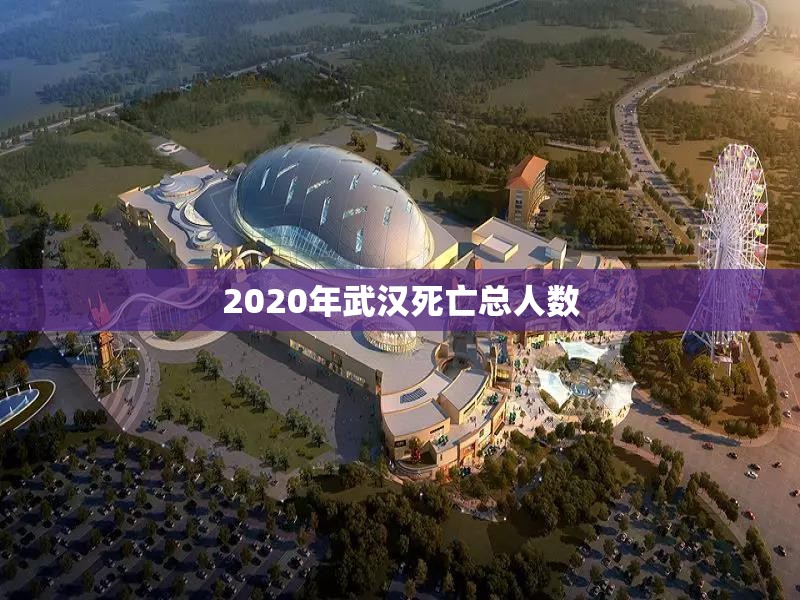 2020年武汉死亡总人数