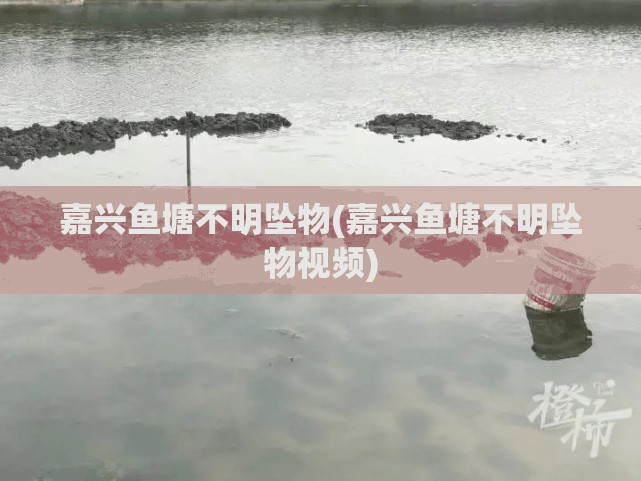 嘉兴鱼塘不明坠物(嘉兴鱼塘不明坠物视频)