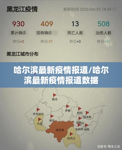 哈尔滨最新疫情报道/哈尔滨最新疫情报道数据