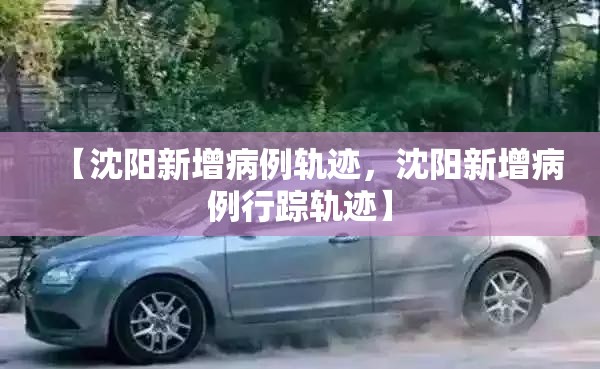 【沈阳新增病例轨迹，沈阳新增病例行踪轨迹】