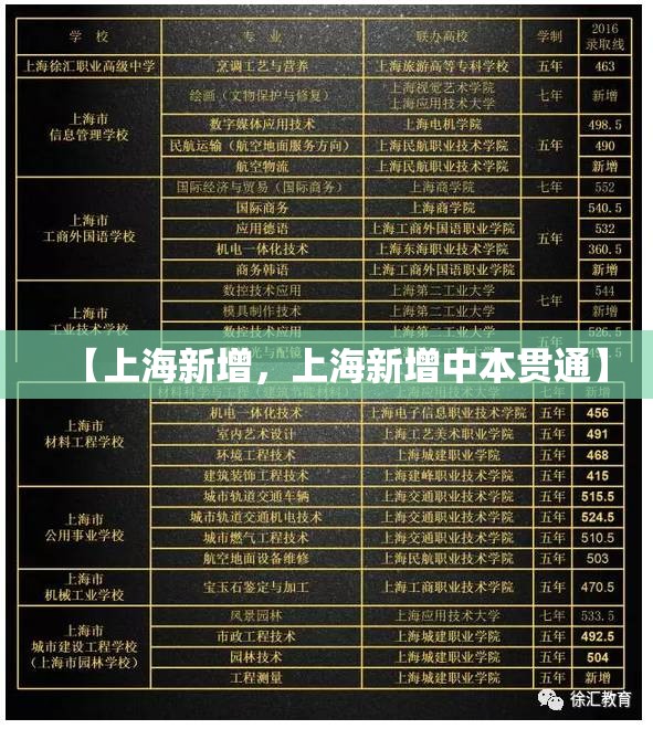 【上海新增，上海新增中本贯通】