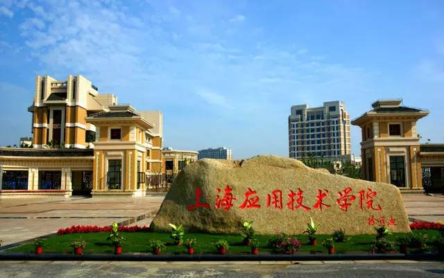 【上海新增，上海新增中本贯通】