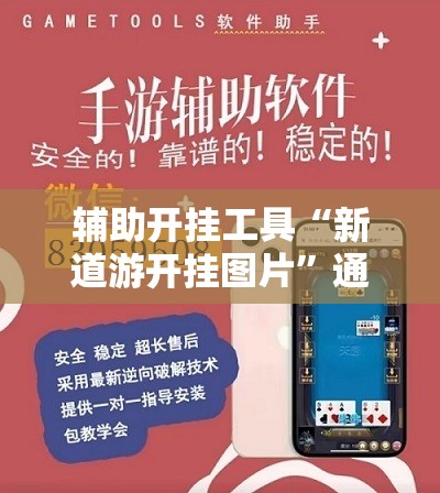 辅助开挂工具“新道游开挂图片”通用版下载教程!