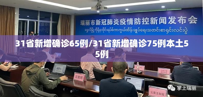 31省新增确诊65例/31省新增确诊75例本土55例