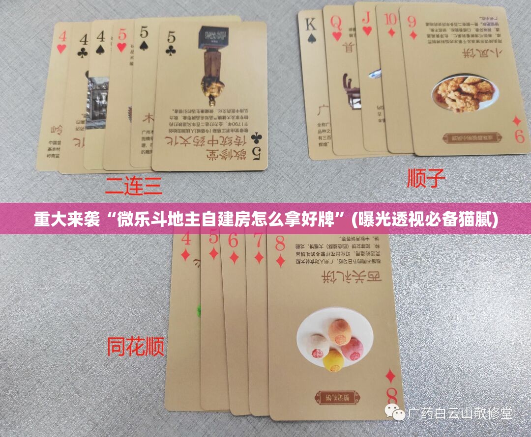 重大来袭“微乐斗地主自建房怎么拿好牌”(曝光透视必备猫腻)