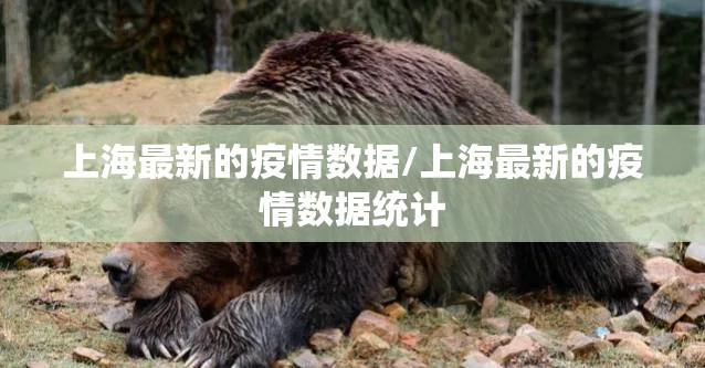 上海最新的疫情数据/上海最新的疫情数据统计