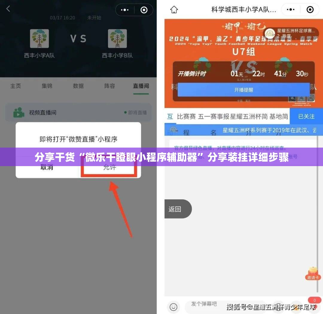 分享干货“微乐干瞪眼小程序辅助器”分享装挂详细步骤