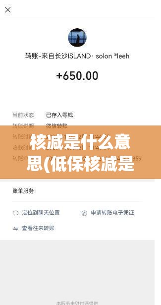 核减是什么意思(低保核减是什么意思)
