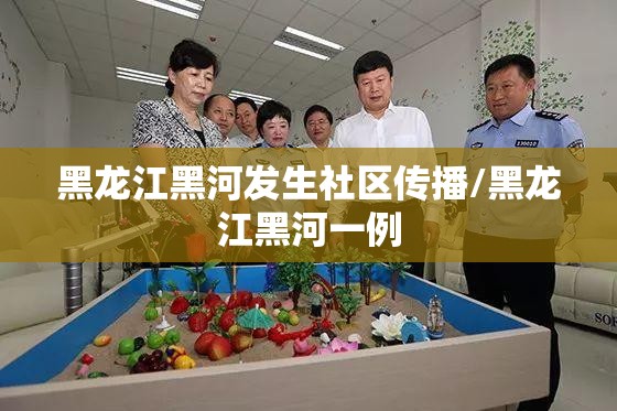 黑龙江黑河发生社区传播/黑龙江黑河一例