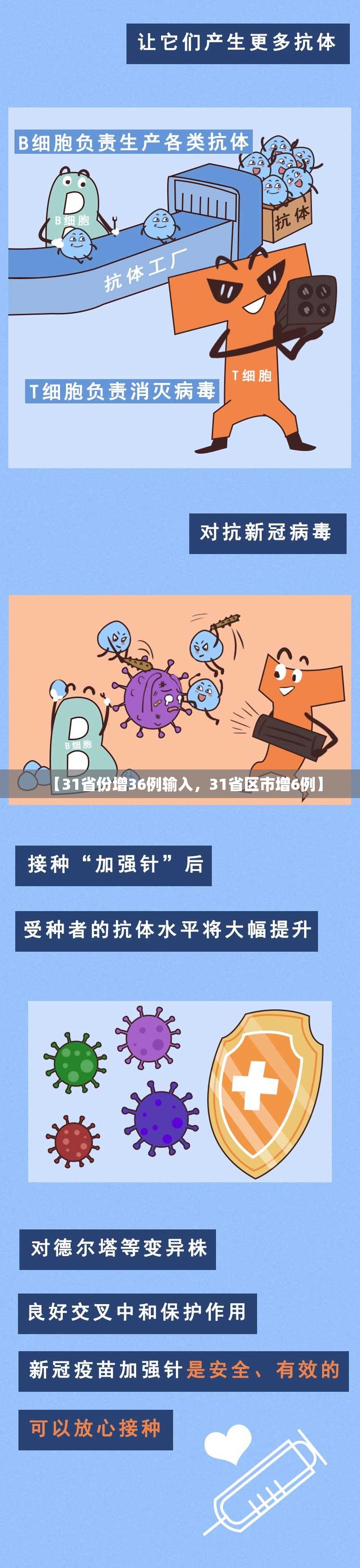 【31省份增36例输入，31省区市增6例】