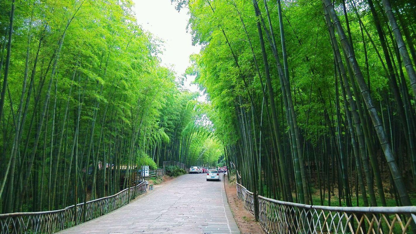 警惕!河北已有23县区发现/河北两县