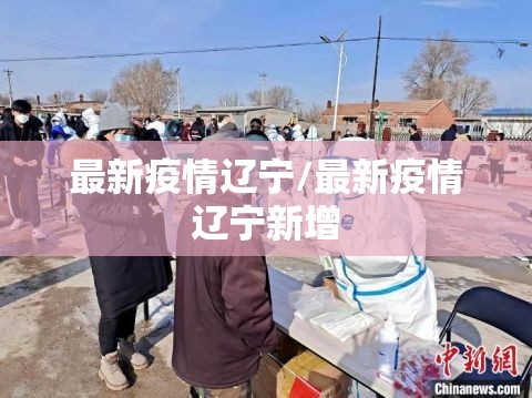 最新疫情辽宁/最新疫情辽宁新增