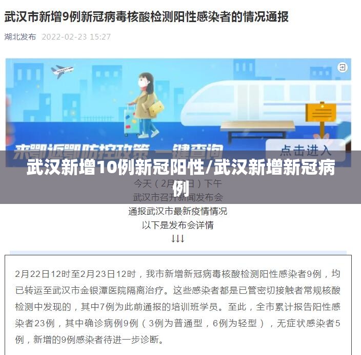 武汉新增10例新冠阳性/武汉新增新冠病例