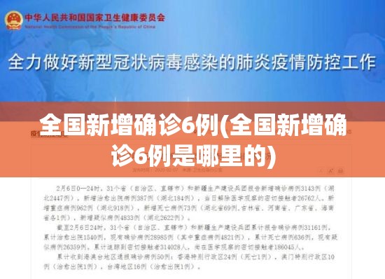 全国新增确诊6例(全国新增确诊6例是哪里的)