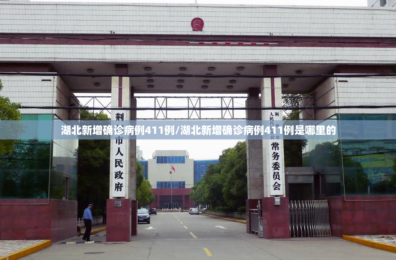 湖北新增确诊病例411例/湖北新增确诊病例411例是哪里的