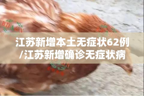 衡水123/衡水123路公交车的线路