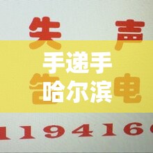 衡水123/衡水123路公交车的线路