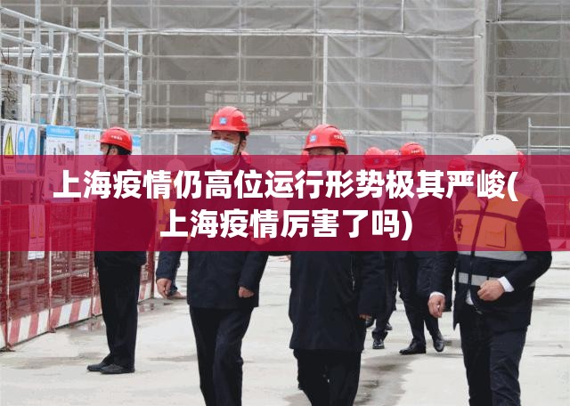上海疫情仍高位运行形势极其严峻(上海疫情厉害了吗)