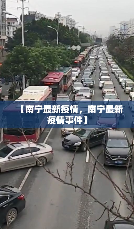 【南宁最新疫情，南宁最新疫情事件】