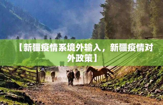 【新疆疫情系境外输入，新疆疫情对外政策】