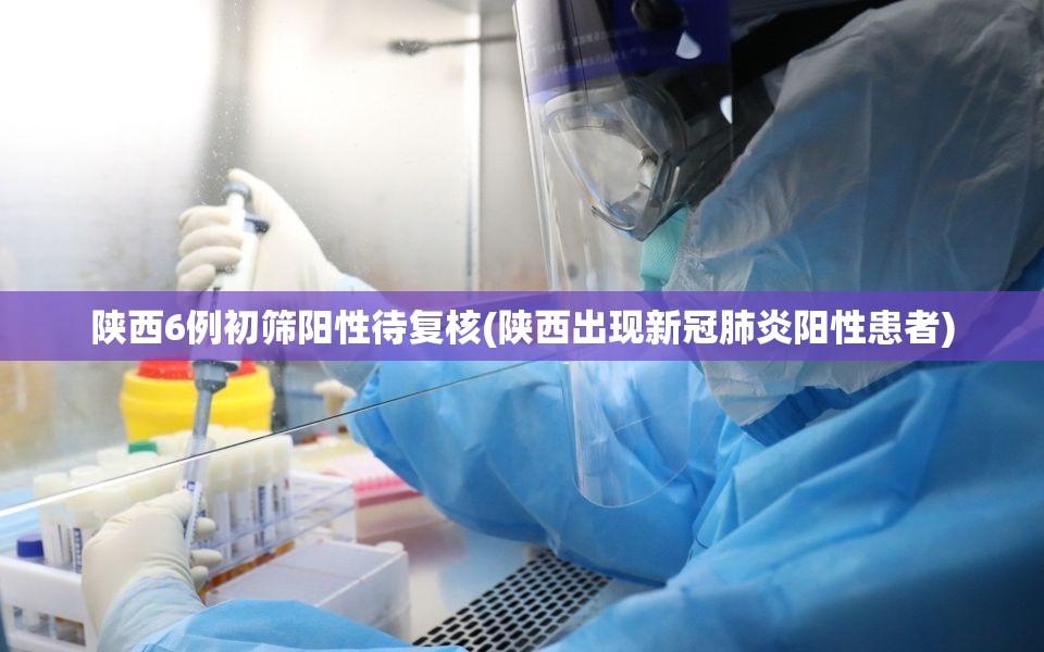 陕西6例初筛阳性待复核(陕西出现新冠肺炎阳性患者)