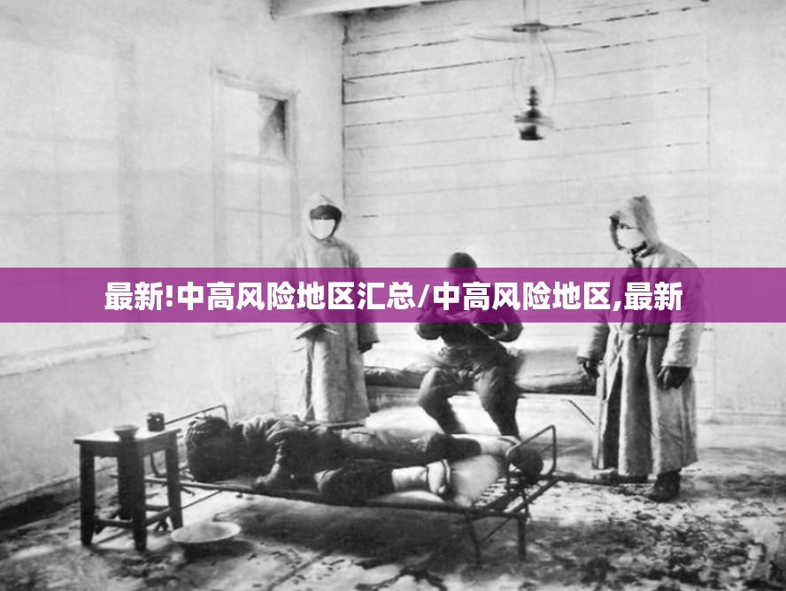 最新!中高风险地区汇总/中高风险地区,最新